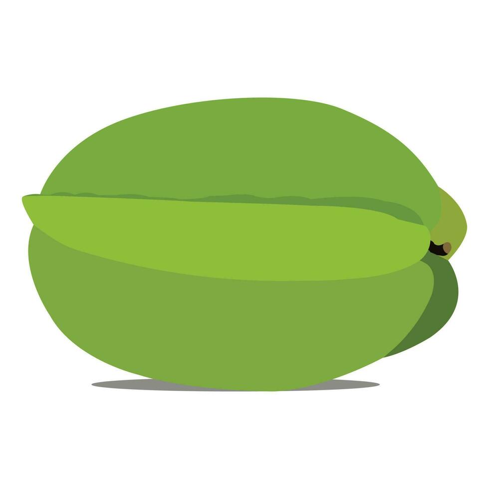 A pretty star fruit vector art work.