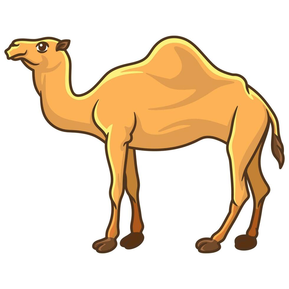 Free vector bundle of cute camel animals for sacrifice and Eid al-Adha