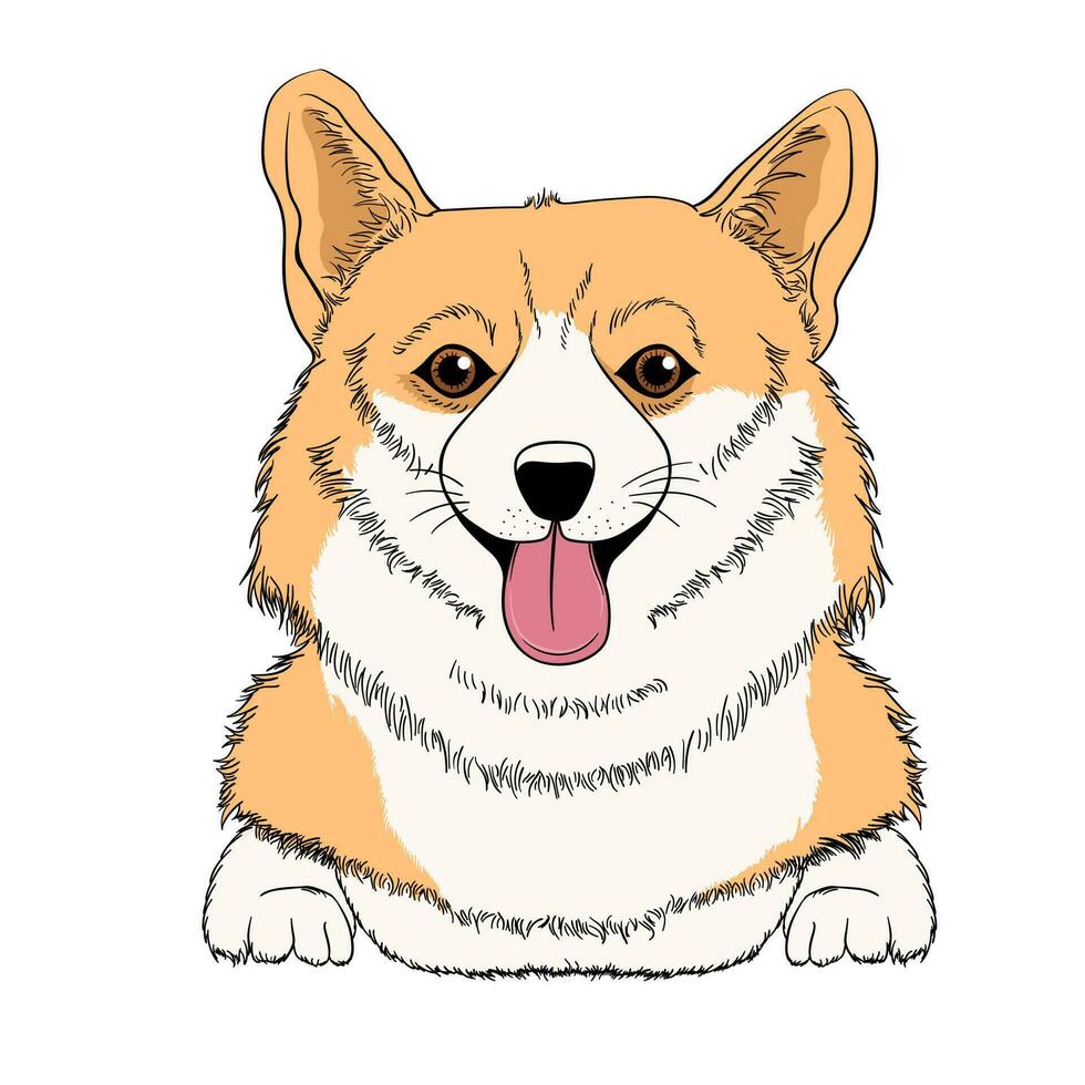 Portrait of the funny Corgi dog. Humor card, t-shirt composition, hand drawn style print. Vector illustration.