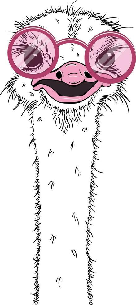 retrato de un Tres gracioso avestruz en un rosado lentes. humor tarjeta, camiseta composición, mano dibujado estilo impresión. vector ilustración.