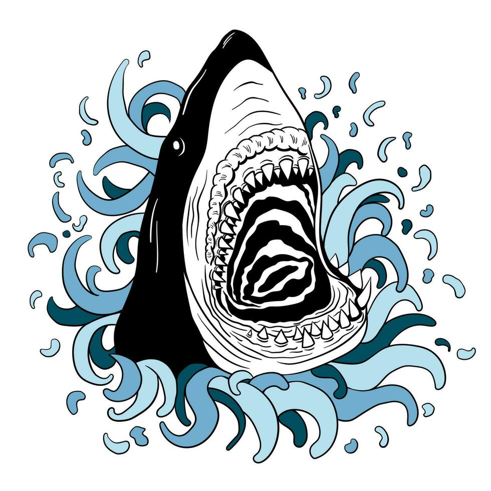 Hand drawn vector shark illustration for tshirt prints, posters