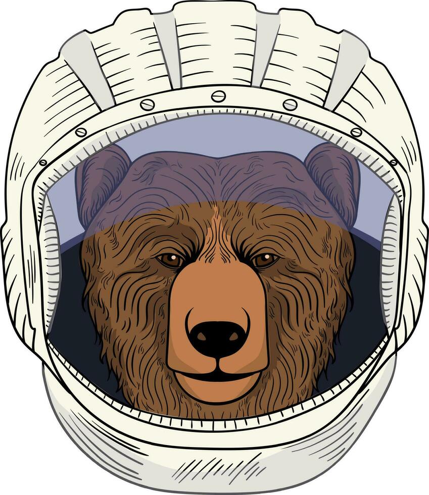 Bear astronaut, hand drawn vector animal illustration, for t-shirt and other.