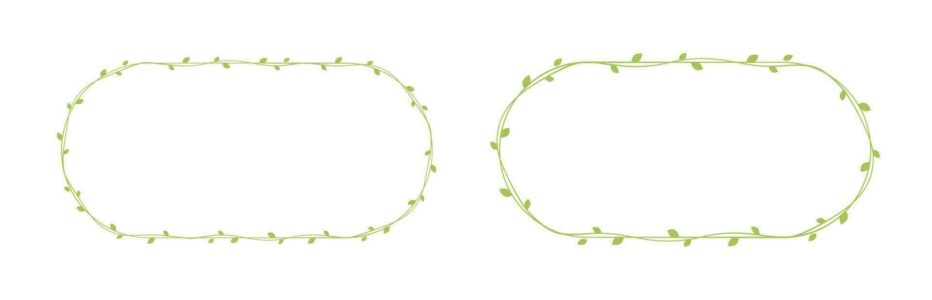 Green vine frames and borders set, floral botanical design element vector illustration