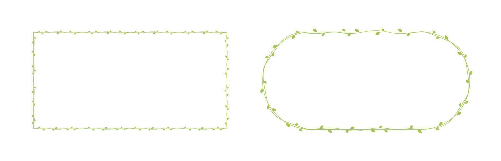 Green vine frames and borders set, floral botanical design element vector illustration