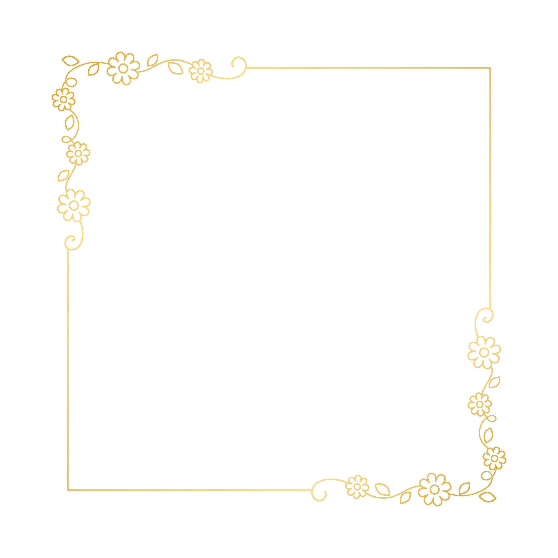 Gold floral square frame. Elegant line border, leaves and flowers