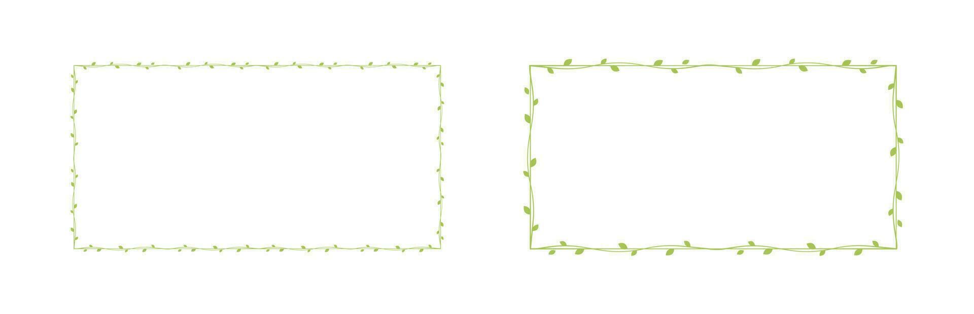 Rectangle green vine frames and borders set, floral botanical design element vector illustration
