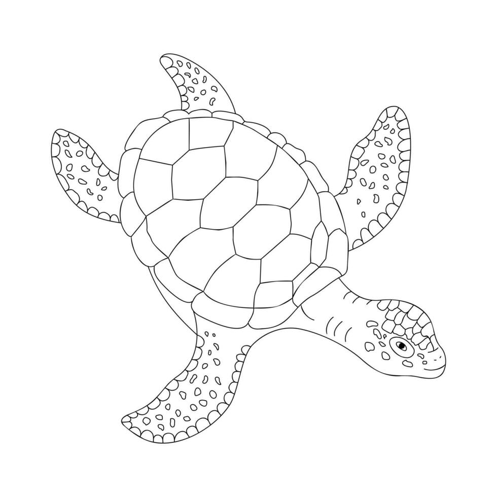 mar Tortuga contorno animal ilustración vector