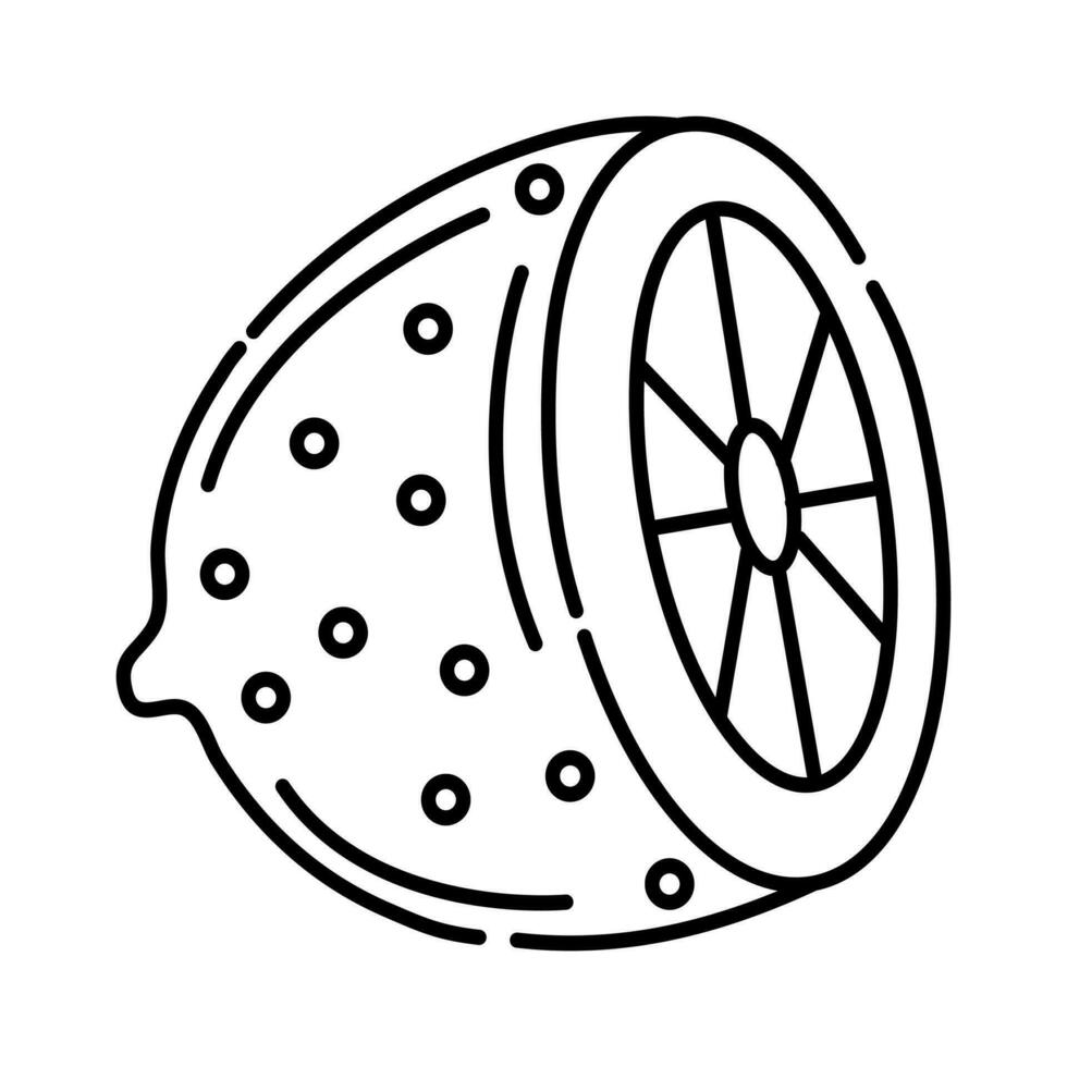 Half of a lemon black and white vector line icon