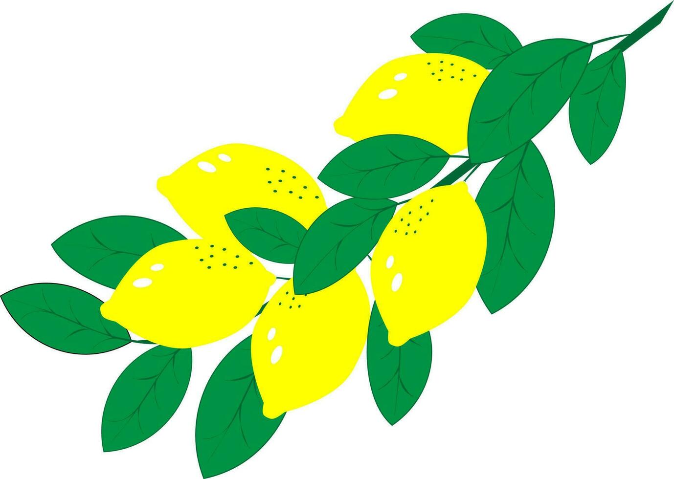 Branch with lemons green leaves, tropical fruit on a white background. EPS10 vector