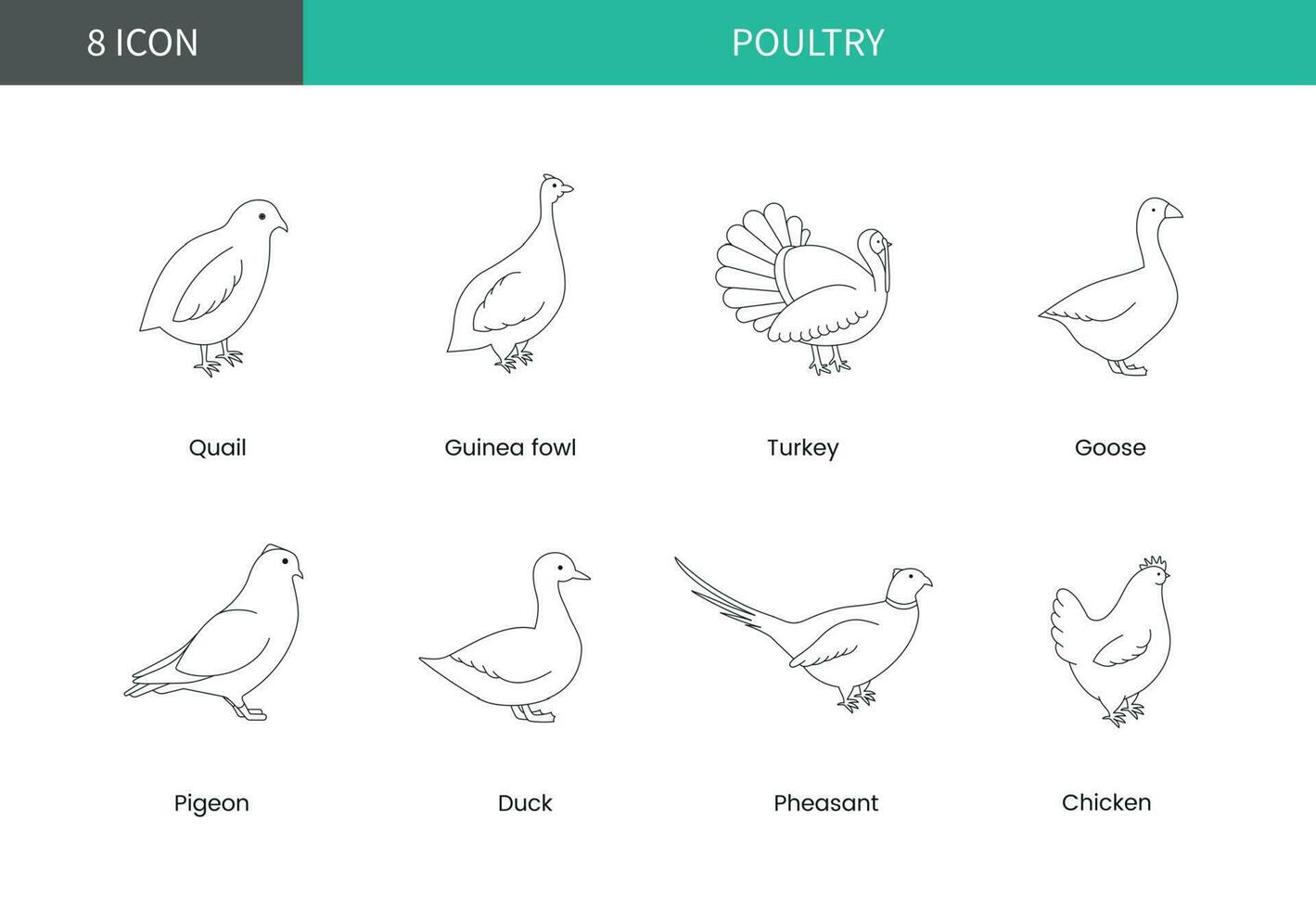 Poultry icons, farm poultry vector linear illustration.