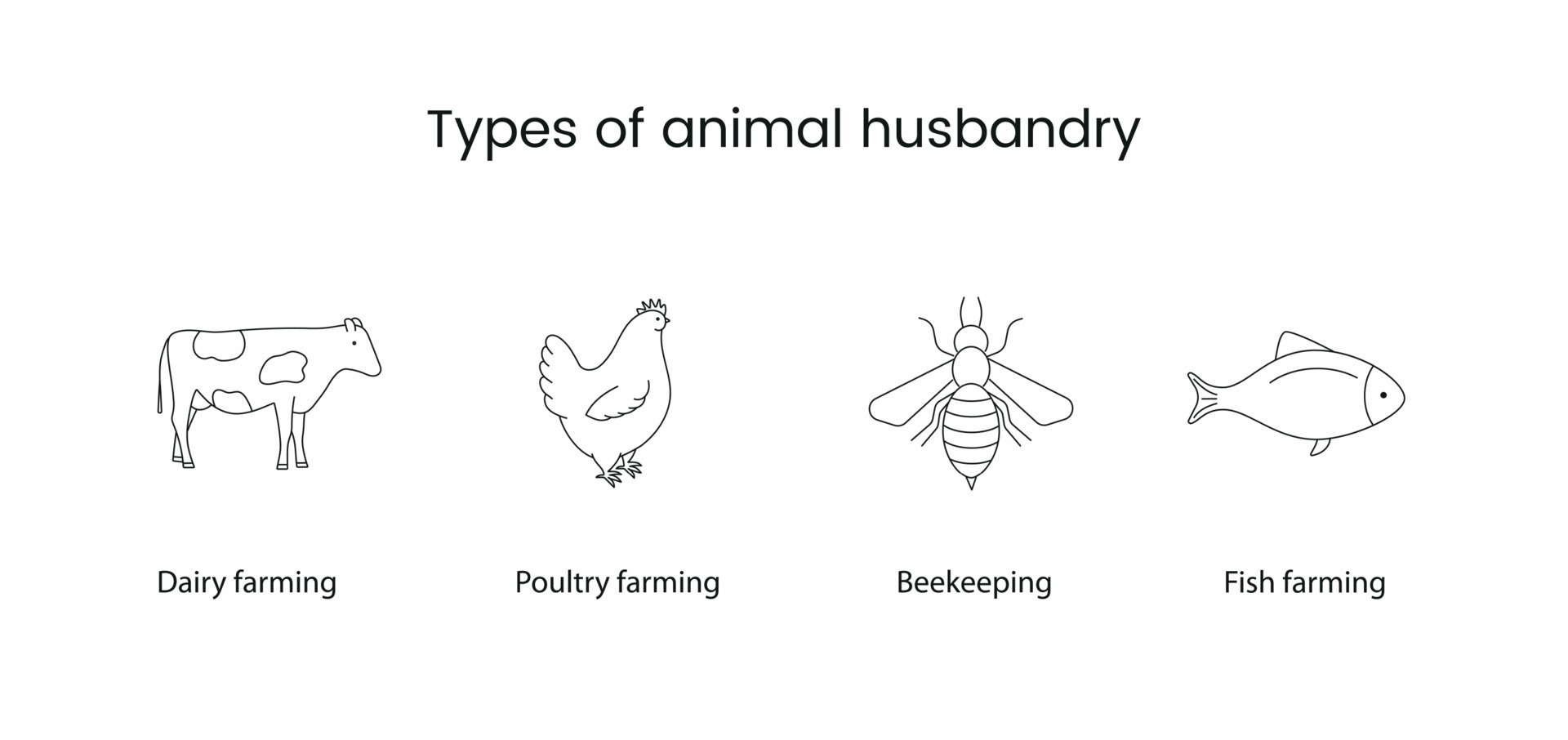 Types of animal husbandry line vector icon cow, chicken, bee and fish