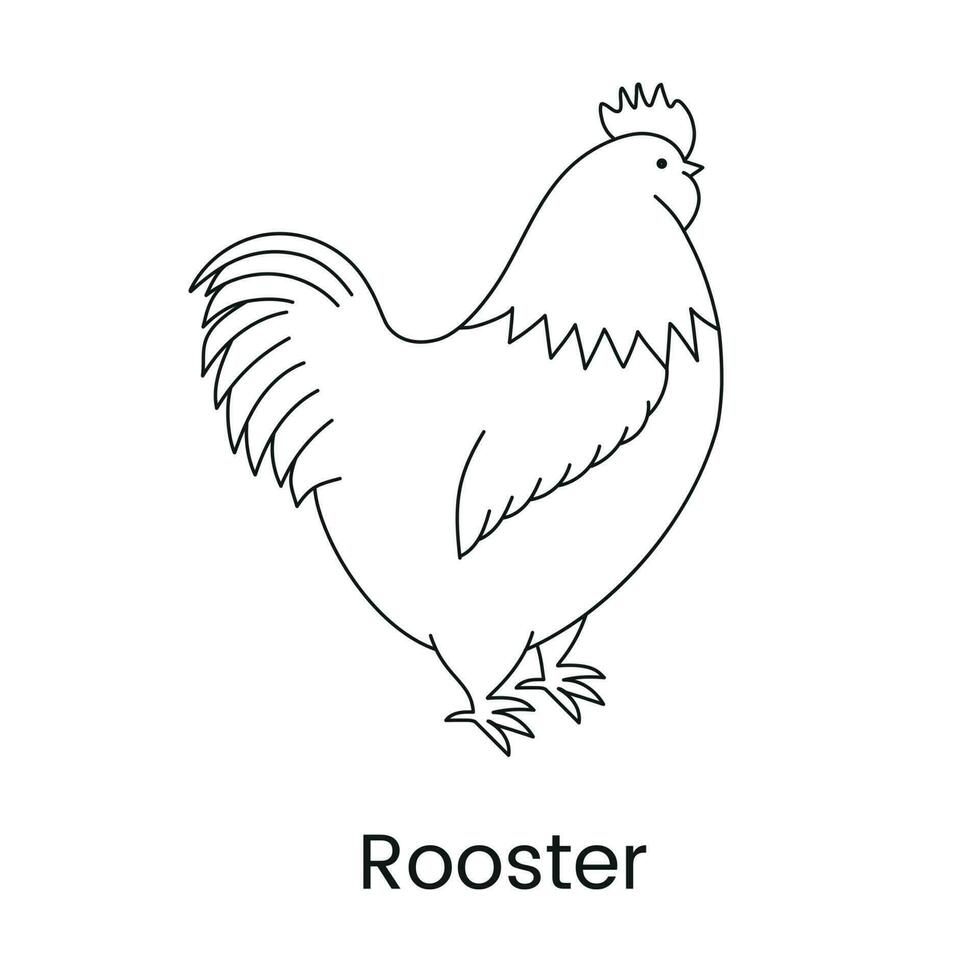 The rooster is a vector linear illustration of a poultry.