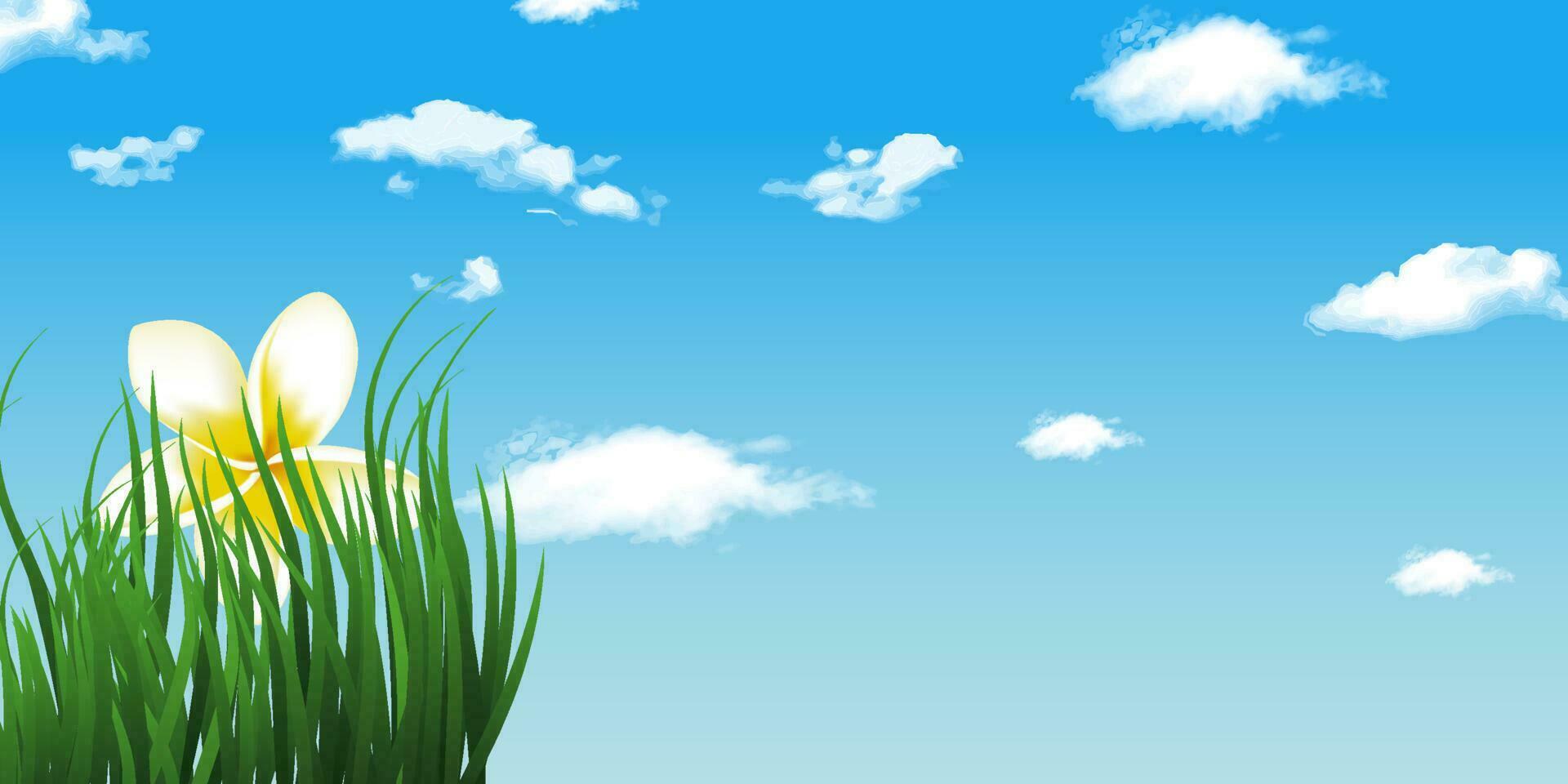 Landscape with realistic  grass, flower, sky and clouds. vector