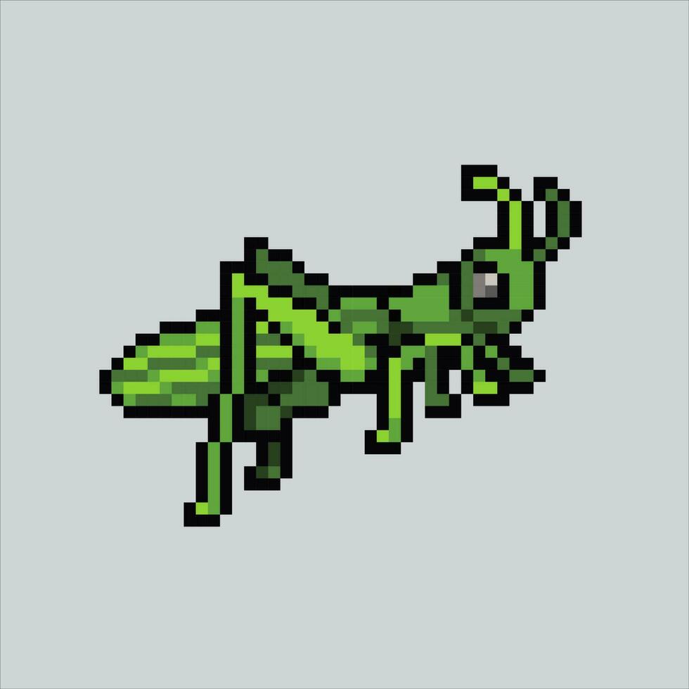 píxel Arte saltamontes. saltamontes insecto pixelado diseño para logo, web, móvil aplicación, insignias y parches vídeo juego duende. 8 bits. aislado vector ilustración.