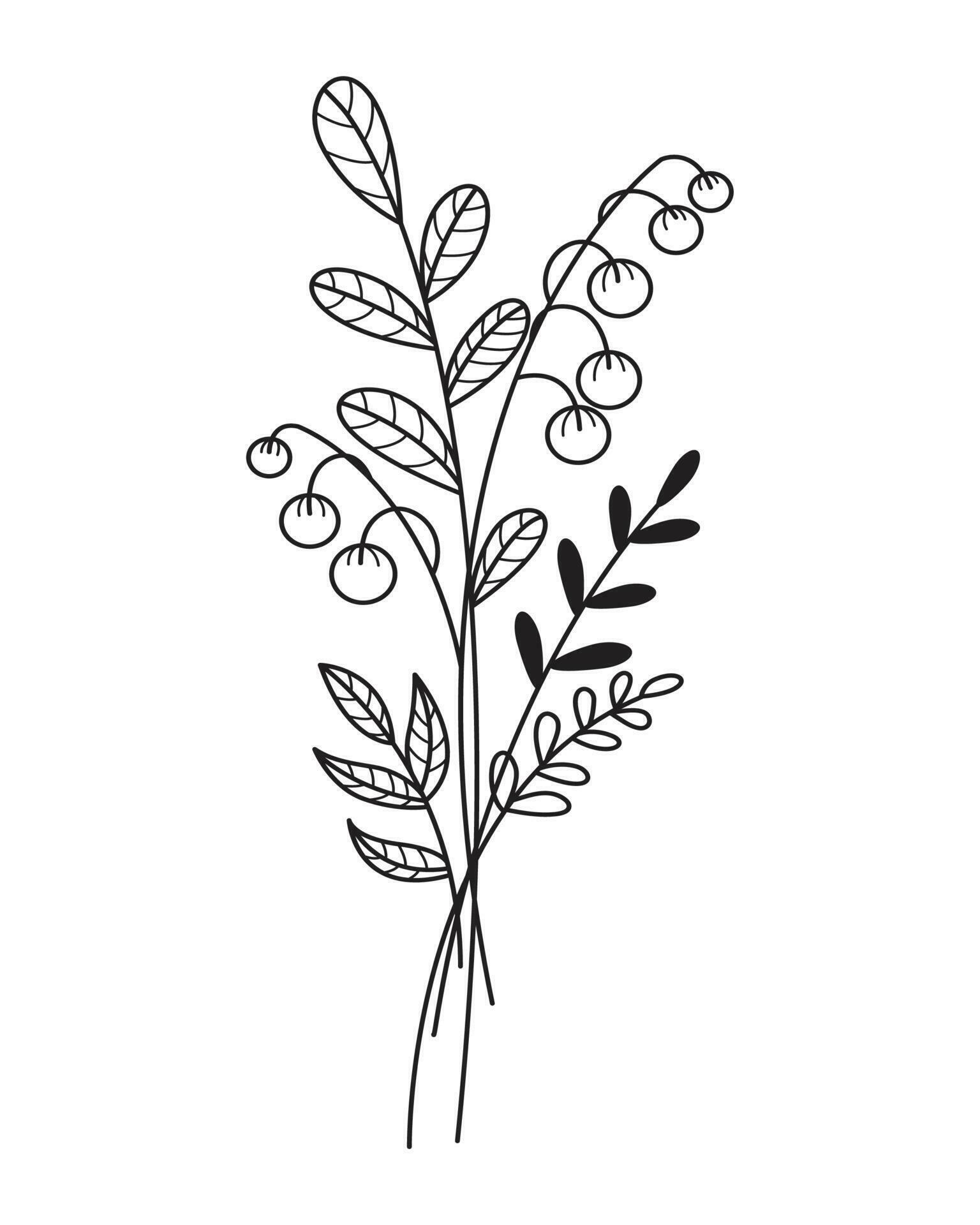 flower line art drawing with abstract shape. Abstract Plant Art design