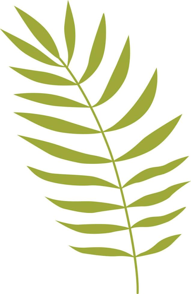tropical leaf illustration vector