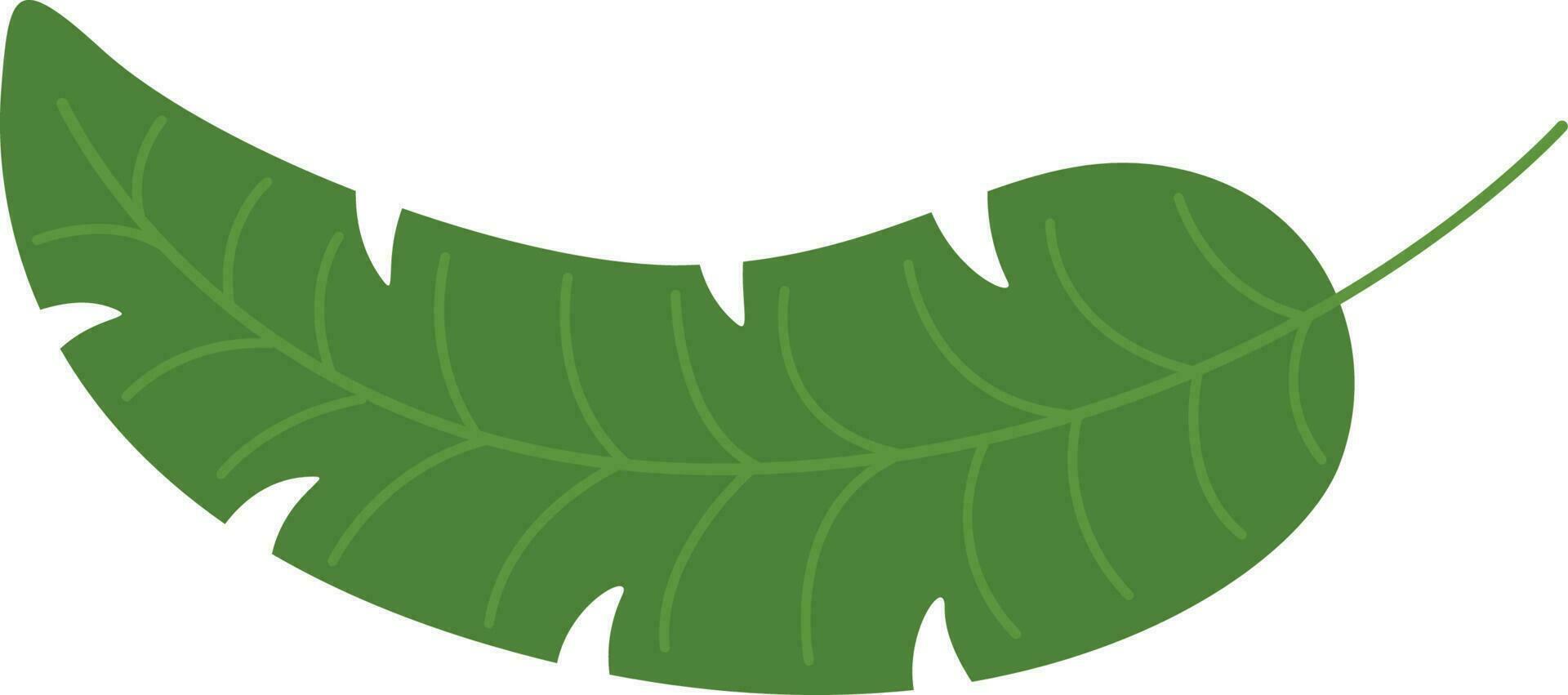 tropical leaf illustration vector
