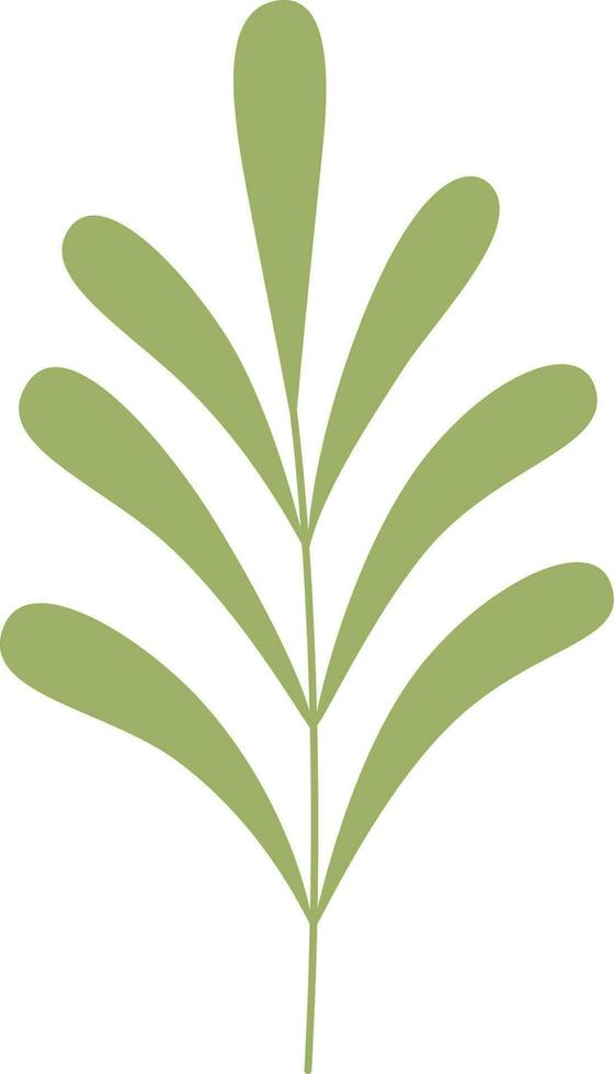 tropical leaf  illustration vector
