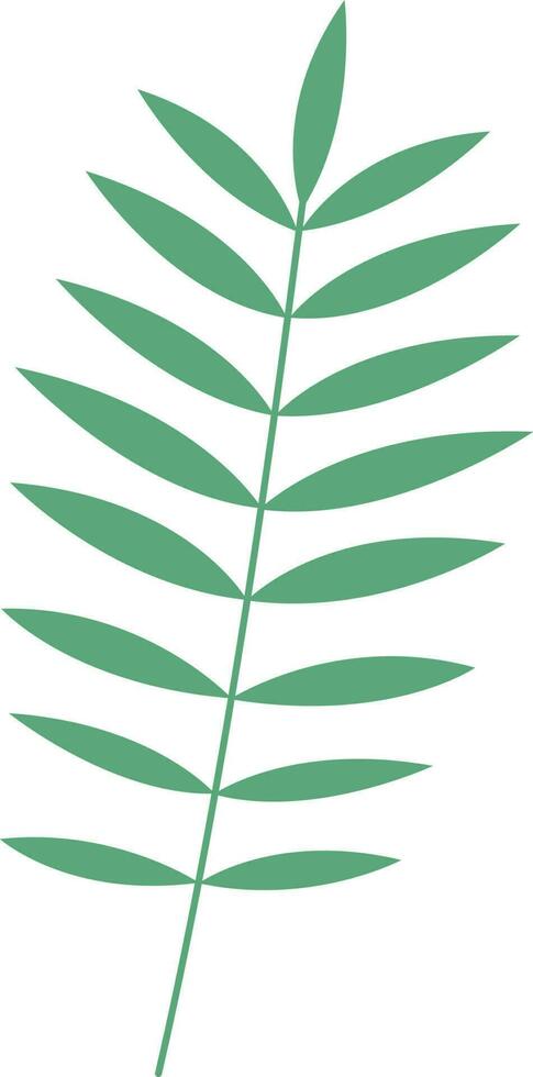 tropical leaf illustration vector