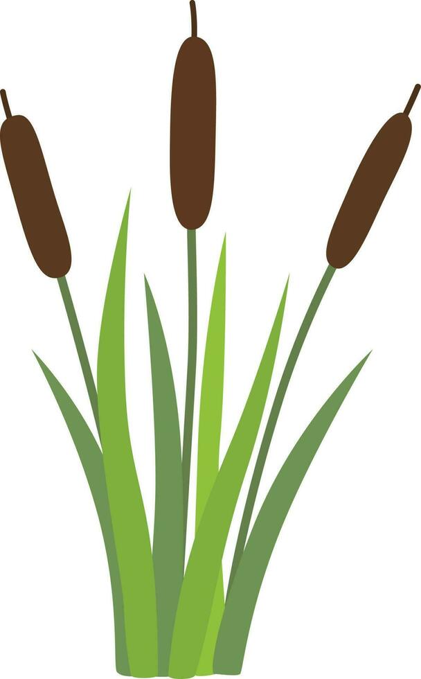 Reeds in grass vector