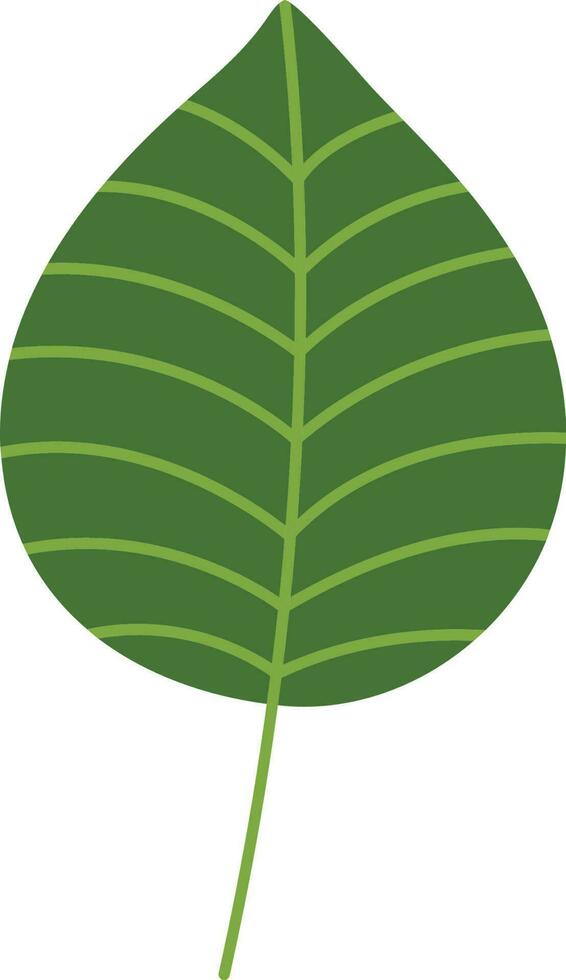 tropical leaf illustration vector