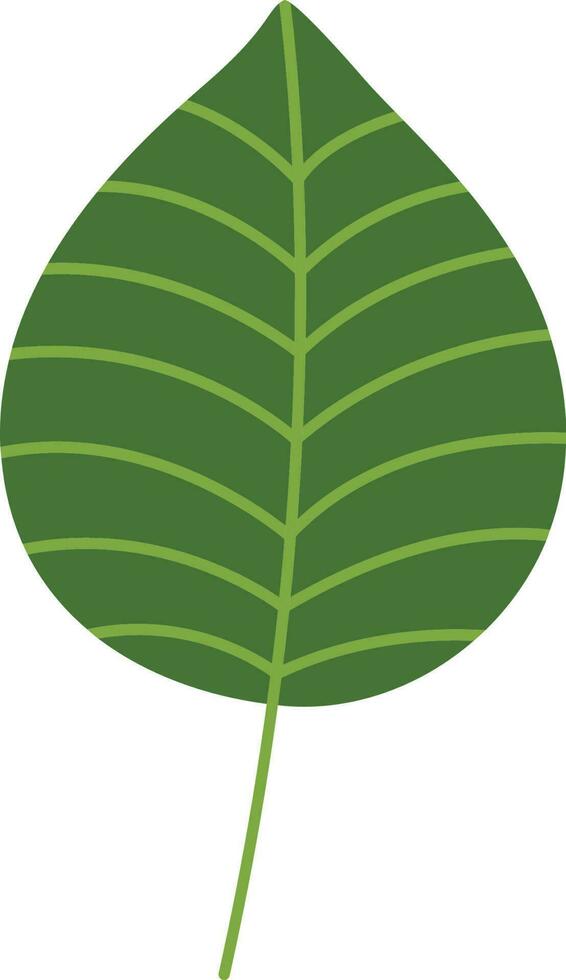 tropical hoja ilustración vector