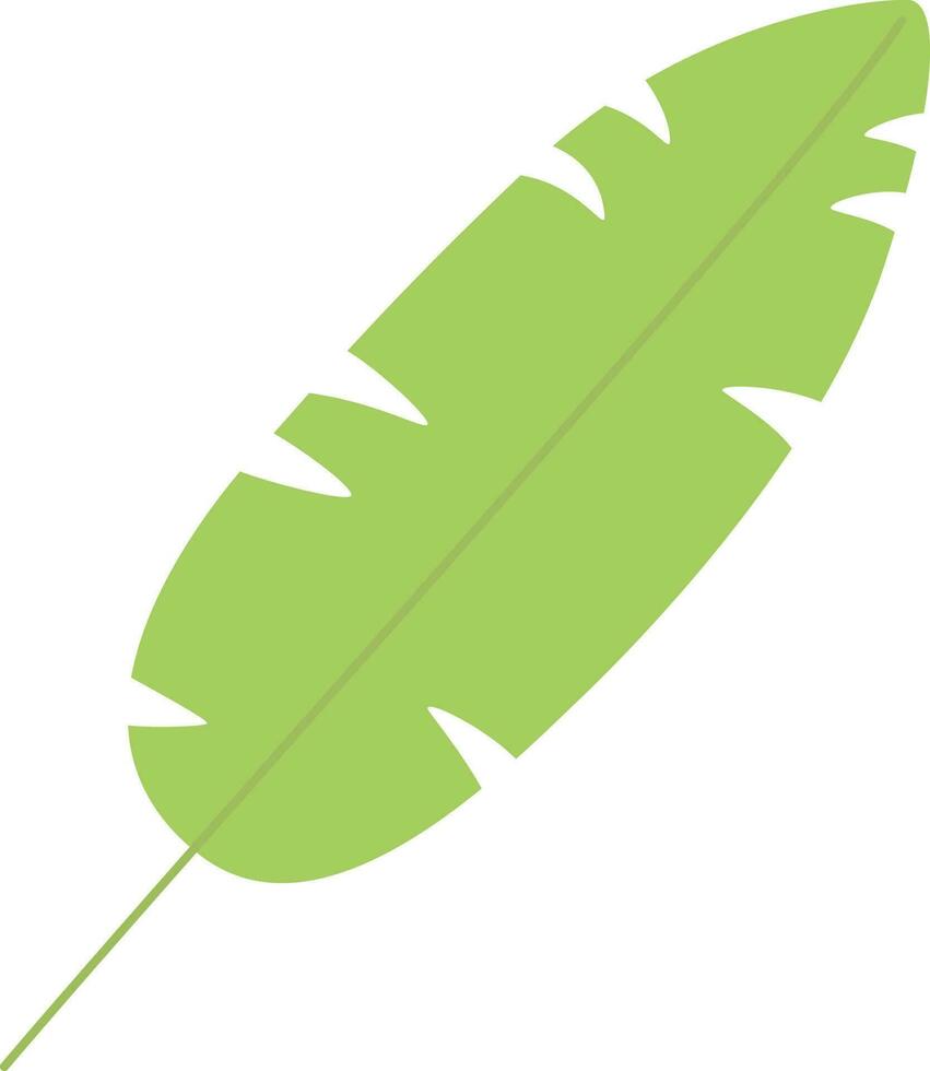 tropical leaf illustration vector