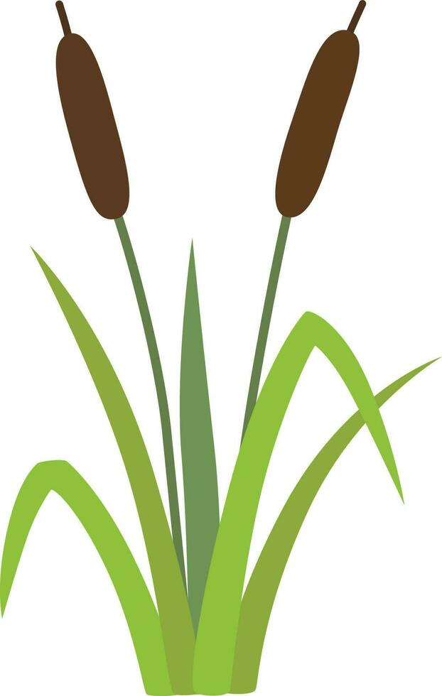 Reeds in grass vector