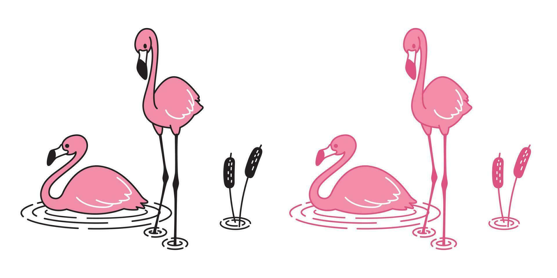 pink flamingo vector cartoon icon character logo flamingos illustration exotic bird Cute animal tropical fauna