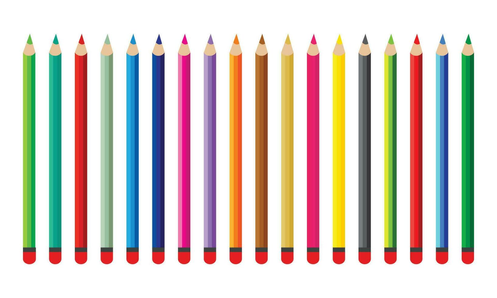 Colorful pencils set laying in row. Wave line made by pencil. Set of crayons for illustrations, art, studying. Ready for school stuff. vector