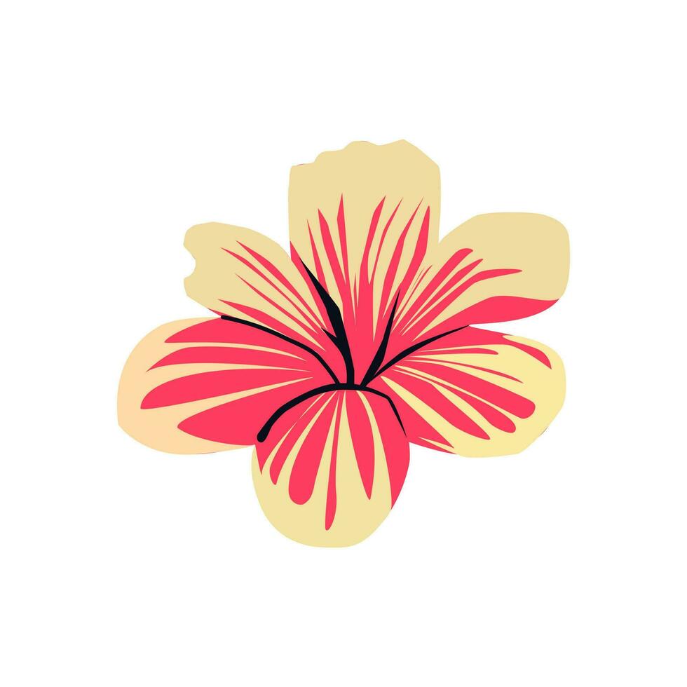 Hibiscus flower. Vector illustration in flat style. Isolated on white background.