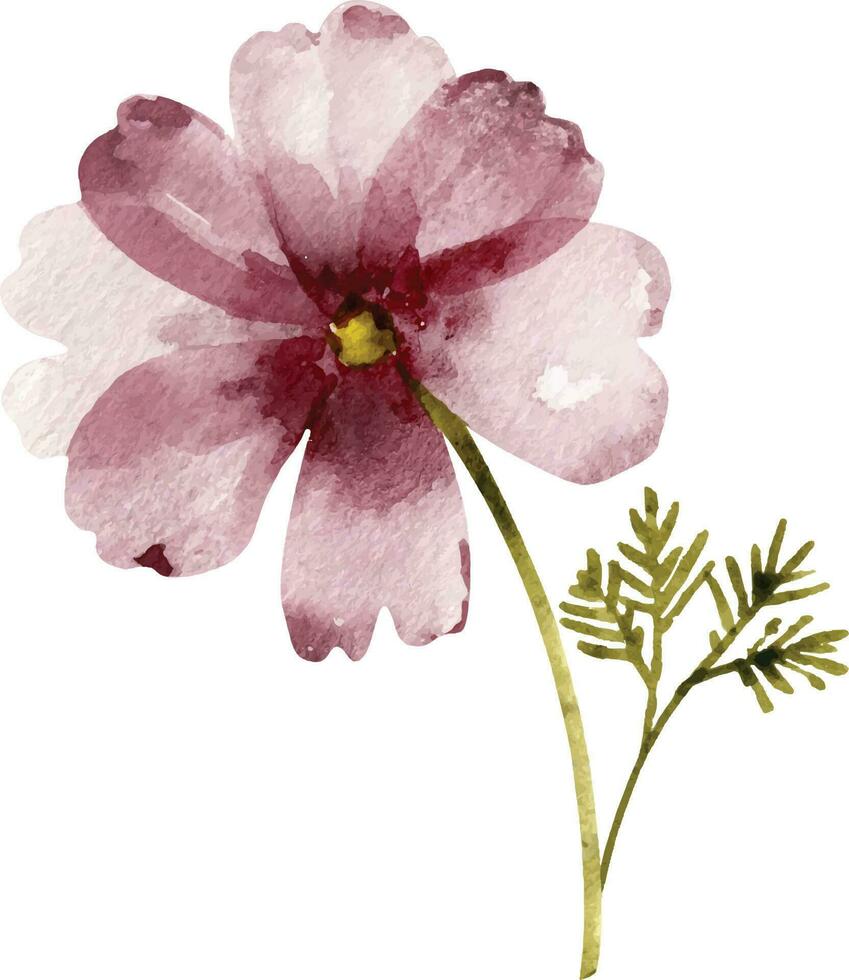 pink  flower , watercolor illustration for postcards and design. vector