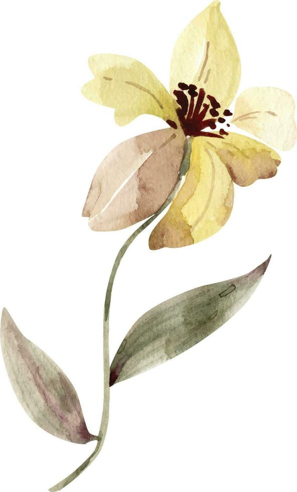 Flower yellow, watercolor illustration for cards, design and invitations. vector