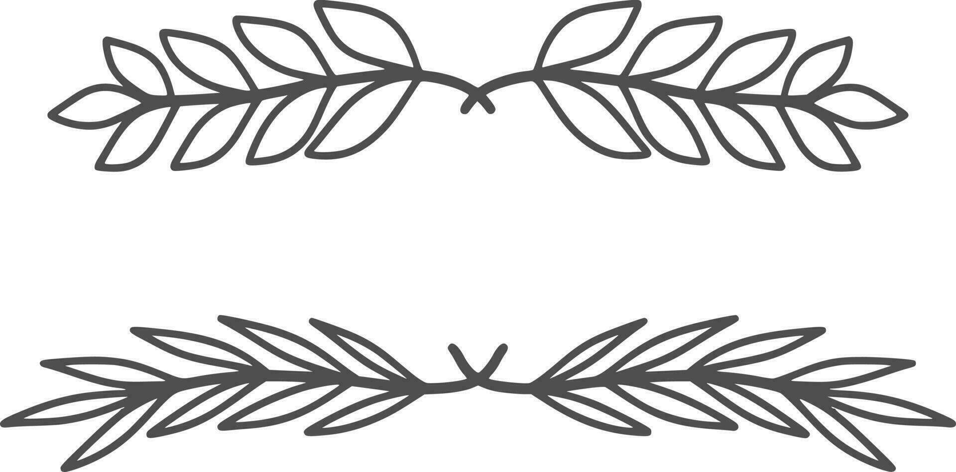Floral divider, vector, design, illustration, graphic, clipart vector