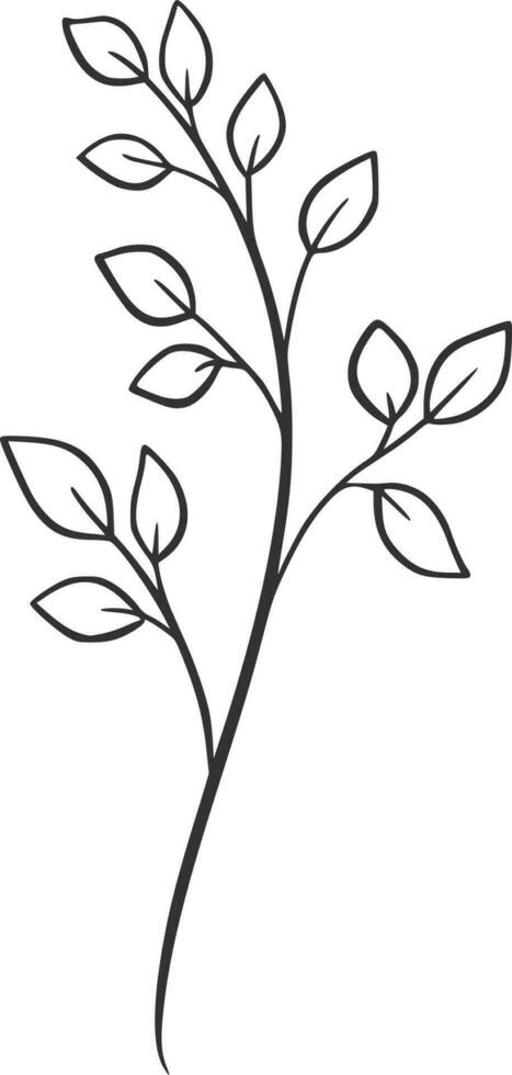Botanical line art, vector, design, illustration, graphic, clipart vector
