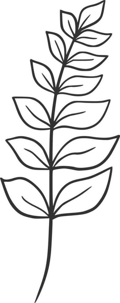 Botanical line art, vector, design, illustration, graphic, clipart vector