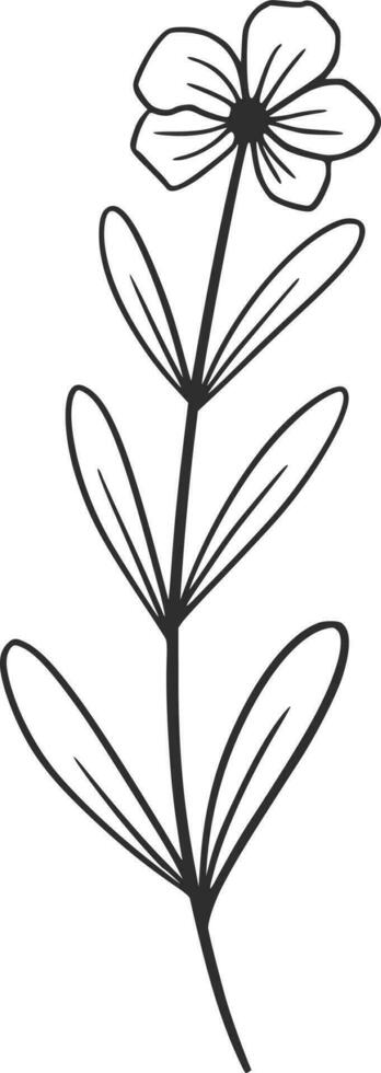 Wildflowers line art, vector, design, illustration, graphic, clipart vector