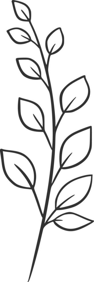 Botanical line art, vector, design, illustration, graphic, clipart vector
