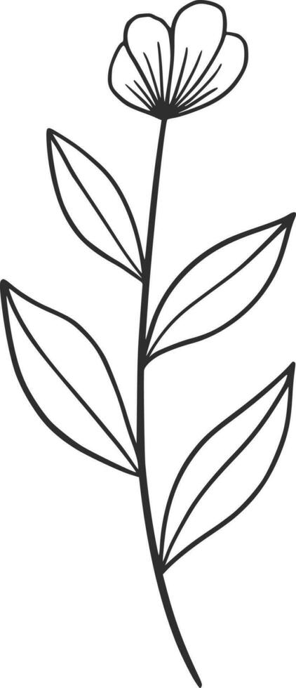 Wildflowers line art, vector, design, illustration, graphic, clipart vector