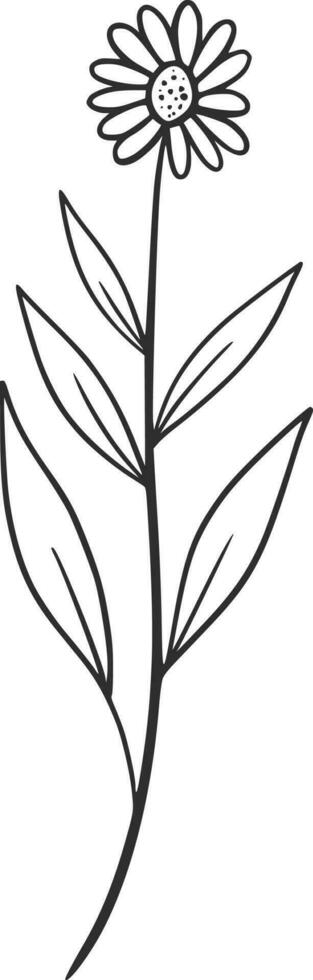 Wildflowers line art, vector, design, illustration, graphic, clipart vector