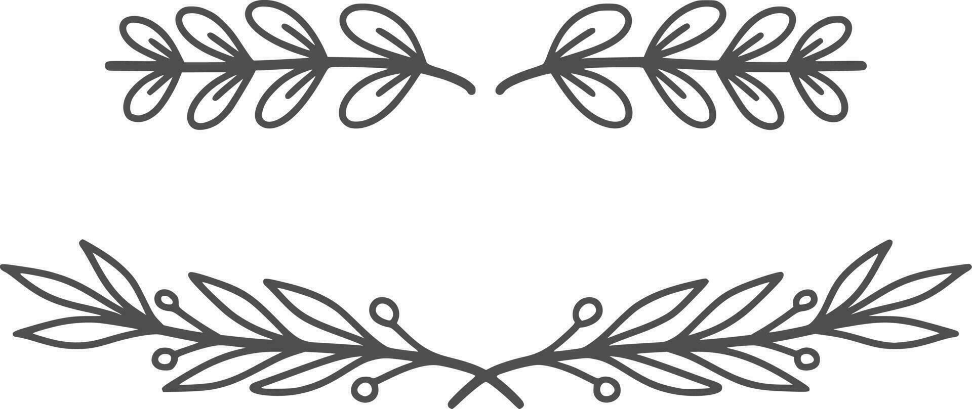 Floral divider, vector, design, illustration, graphic, clipart vector
