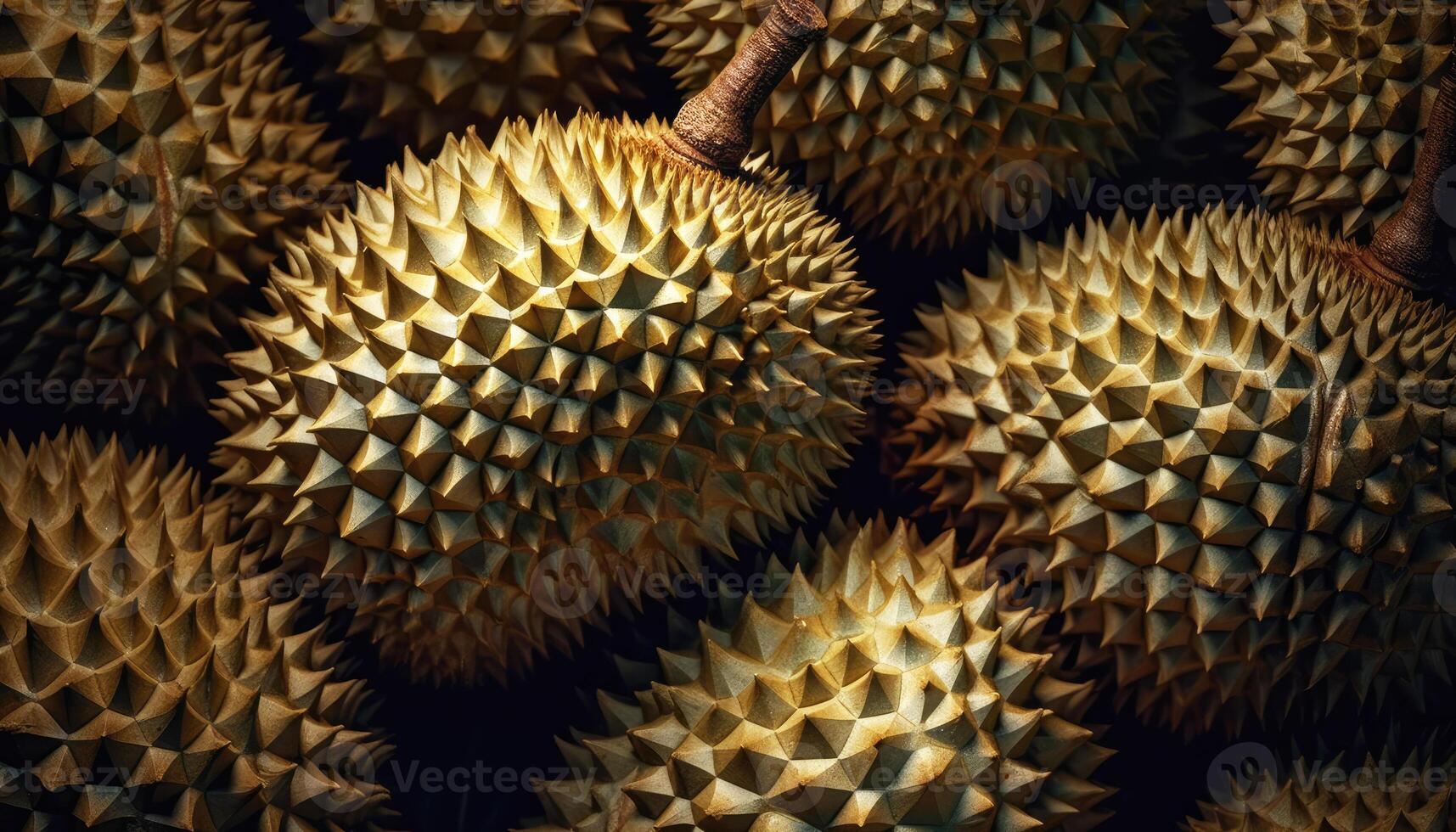 Close up of Durians in dark black background. Fresh fruit and Vegetable concept. Nutrition and vitamin theme. photo