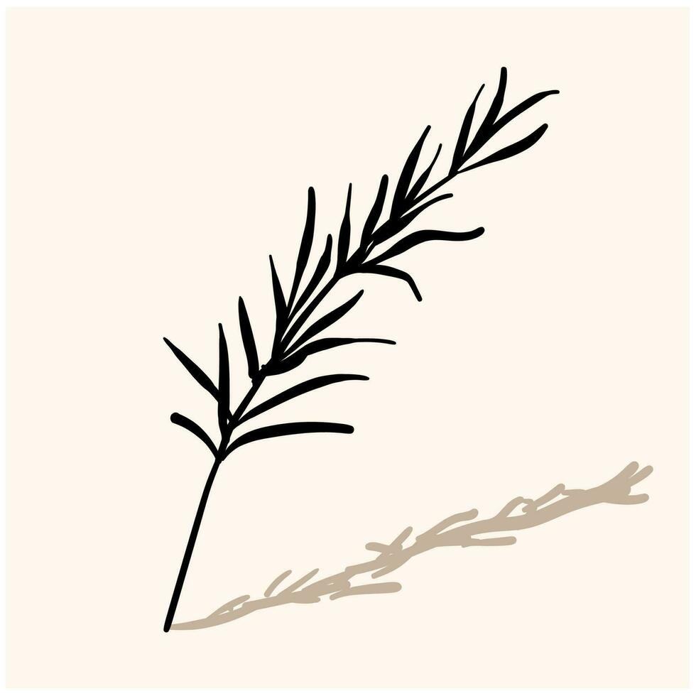 rosemary doodle icon with background cream vector