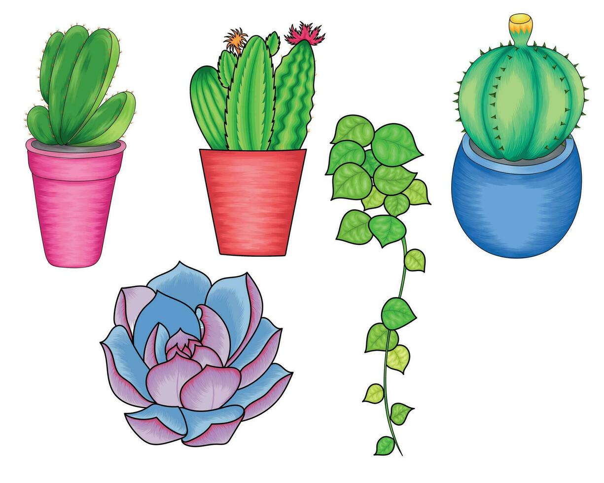 Different cactus on pot and succulent vector illustration on transparent background