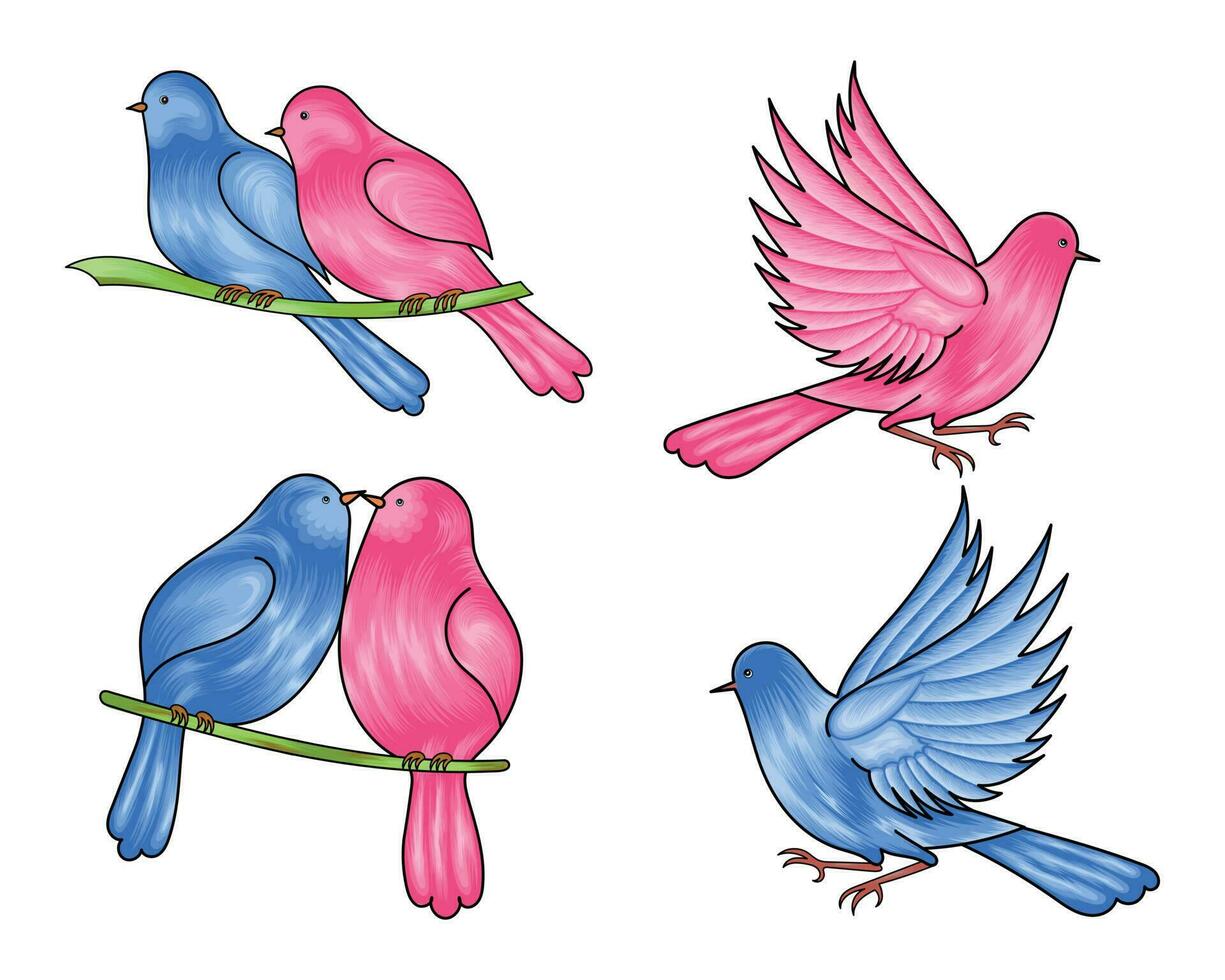 Hand drawn couple bird vector illustration