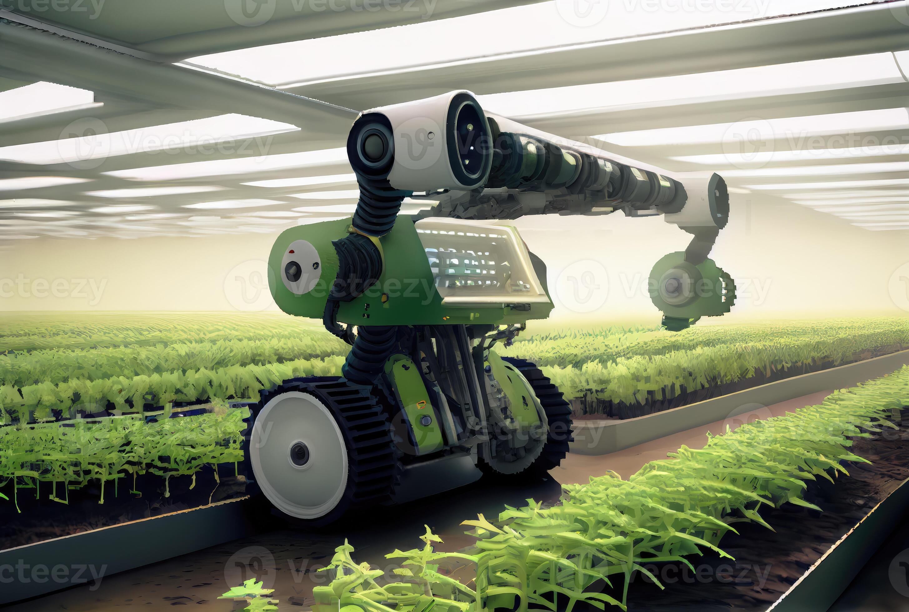 Robot Farming Harvesting Agricultural Products In Greenhouse