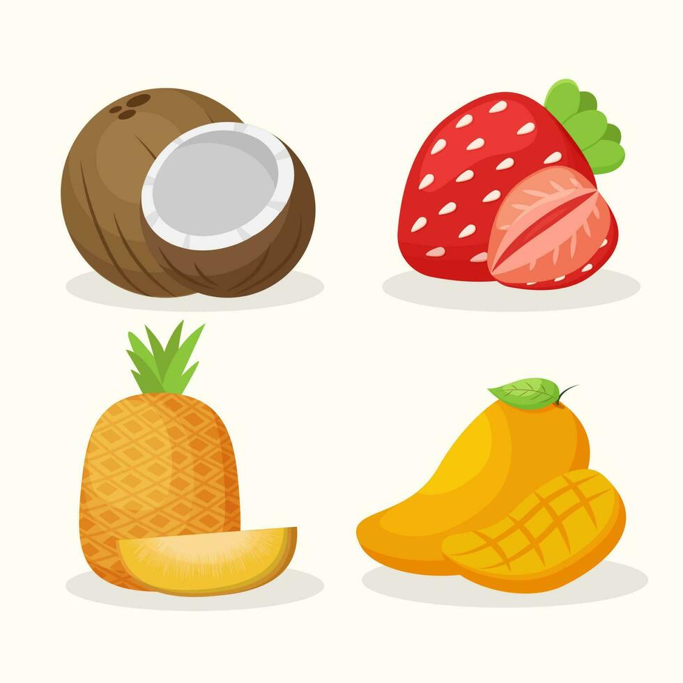 Collection of Summer Fruit Illustration vector