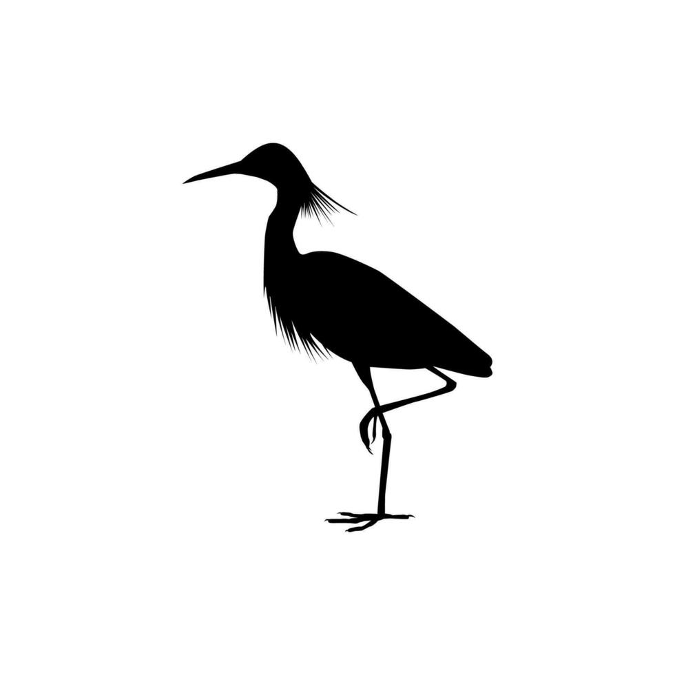 The black heron, Egretta Ardesiaca, also known as the Black Egret Silhouette for Art Illustration, Logo, Pictogram, Website, or Graphic Design Element. Vector Illustration