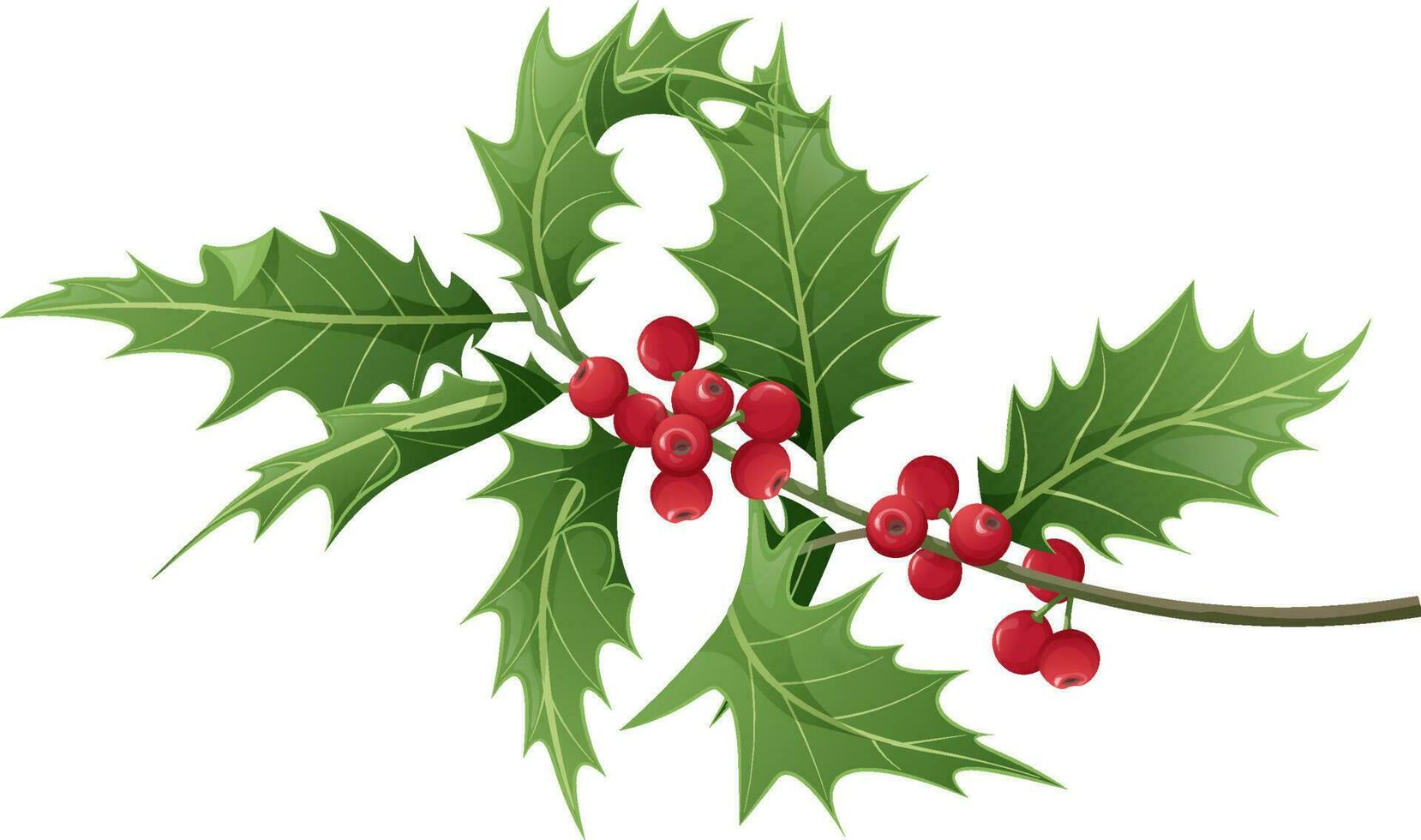 Premium Vector  Element of christmas holly for new year holiday