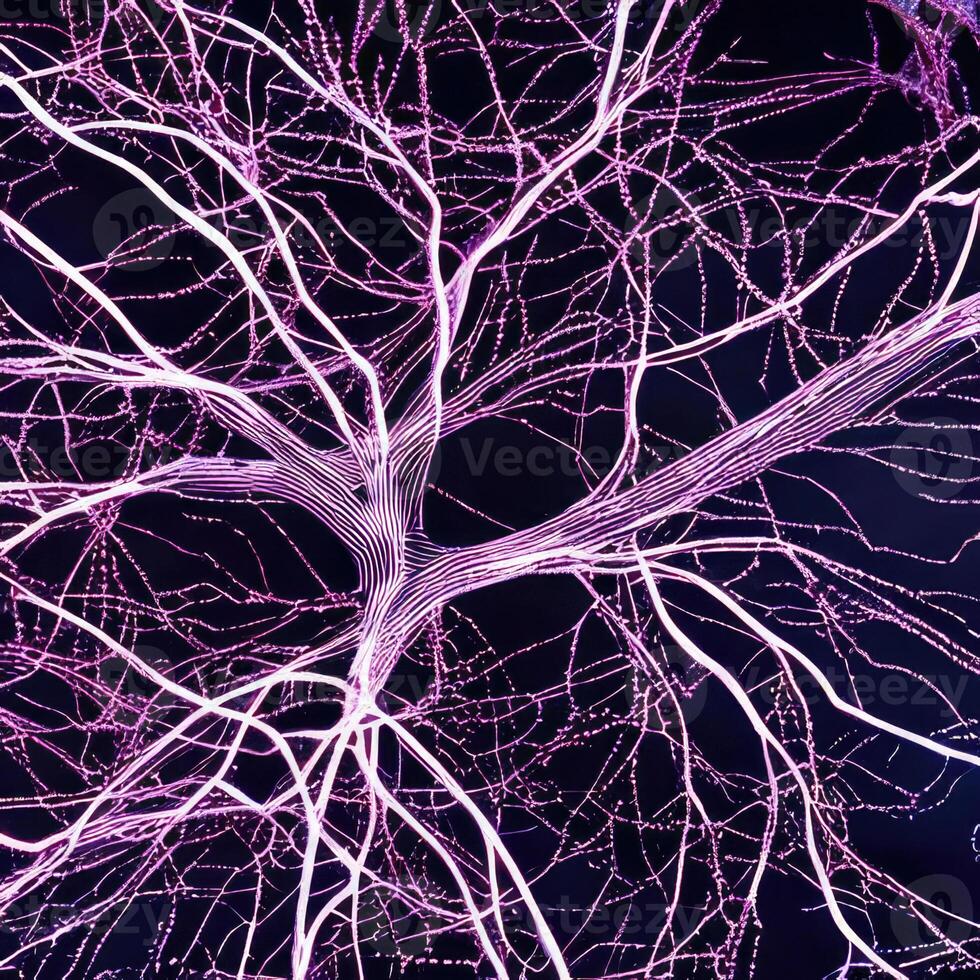 Neuron cell network model. photo